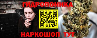 jwh Аргун